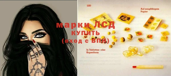 меф Арсеньев