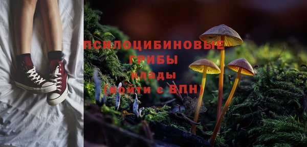 меф Арсеньев