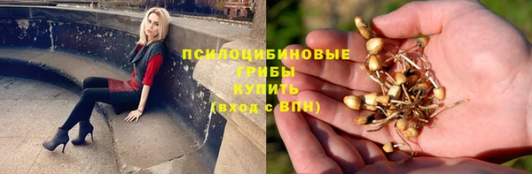 меф Арсеньев