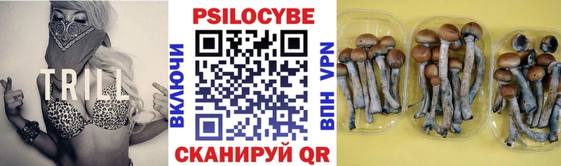 kraken зеркало  Нижние Серги  Псилоцибиновые грибы GOLDEN TEACHER  хочу  